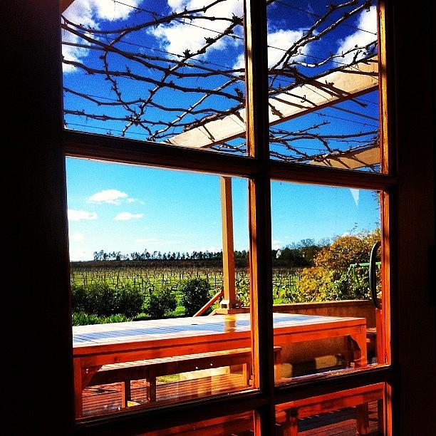 Landscape Photograph - Room With A View. The Tasting Room  by Andrew Coulson