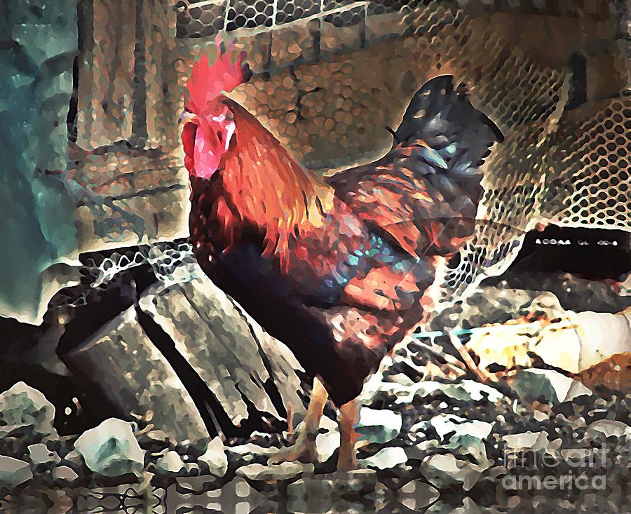 Rooster Photograph by Amalia Suruceanu