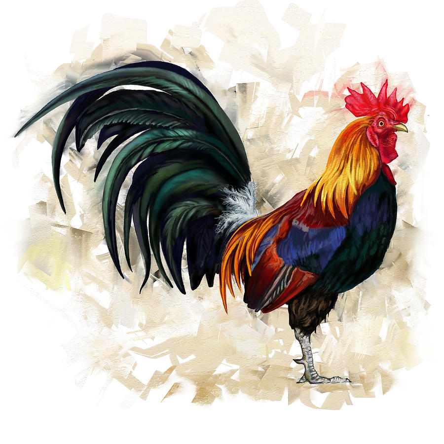 A Rooster Adult Male Chicken Cock Bird Painting by Joseph 
