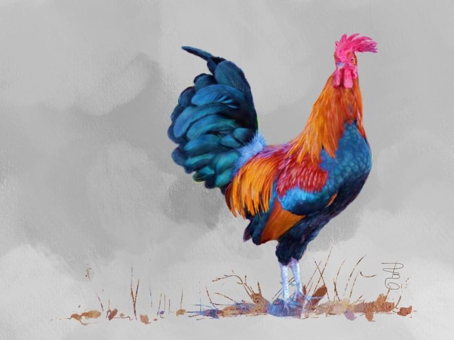 Rooster  Digital Art by Debra Baldwin