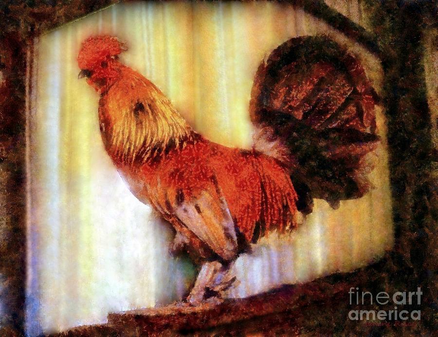 Rooster early morning light Photograph by Janine Riley