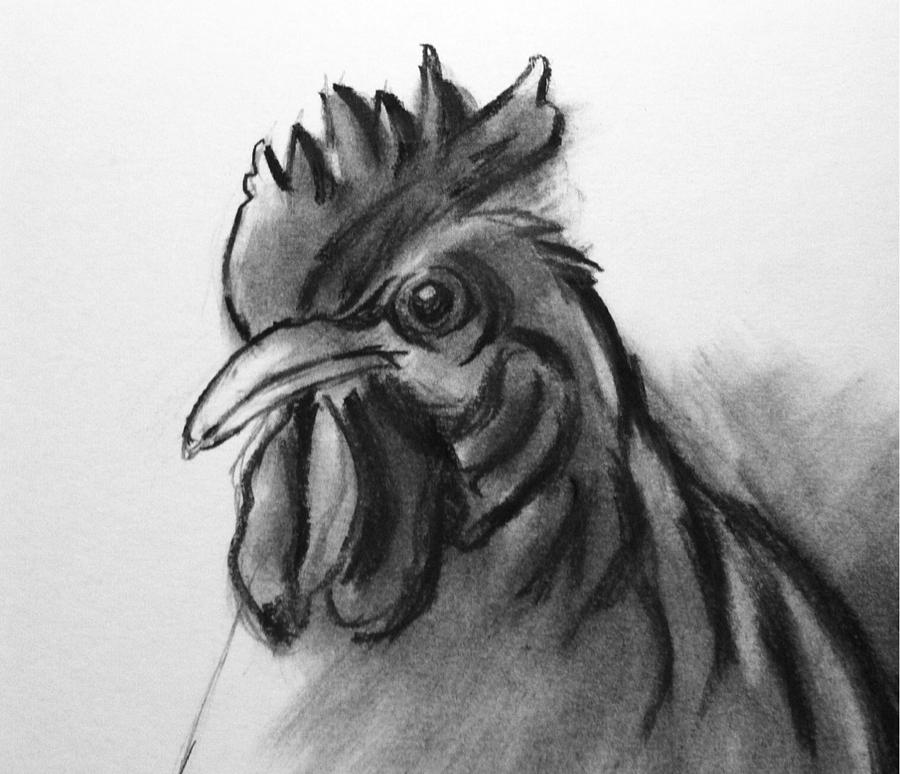 Rooster Drawing by Hae Kim