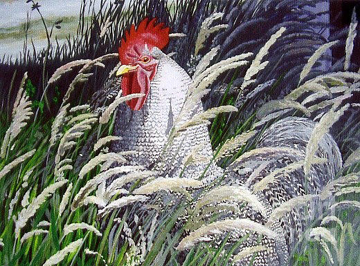 Rooster In Long Grass Painting by Martha DArt