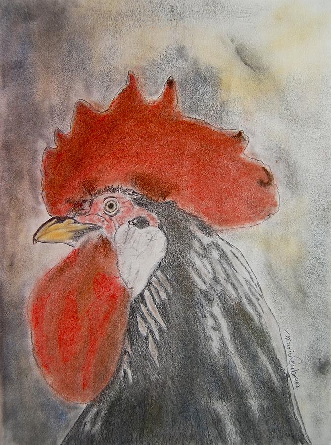 Rooster Drawing by Mario Cabrera