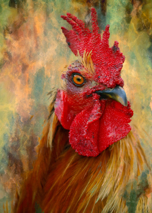 Rooster On The Loose - Abstract Realism Mixed Media by Georgiana Romanovna