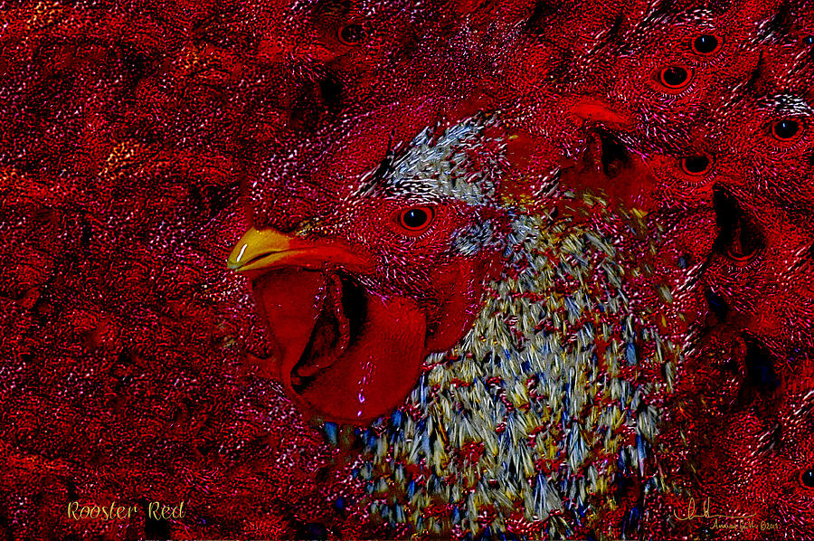 Rooster Red Photograph by Amanda Smith