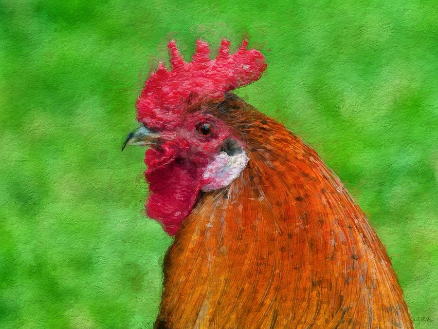 Rooster Painting - Rooster by Sandy MacGowan