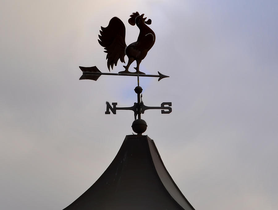 Rooster Photograph - Rooster Weather Vane by Bill Cannon