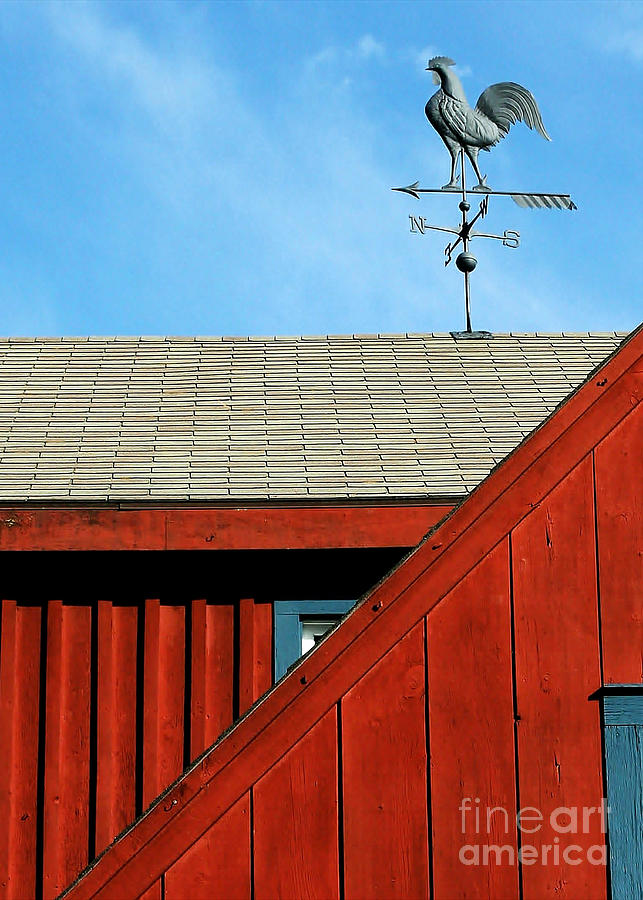 Rooster Weathervane Photograph by Sabrina L Ryan