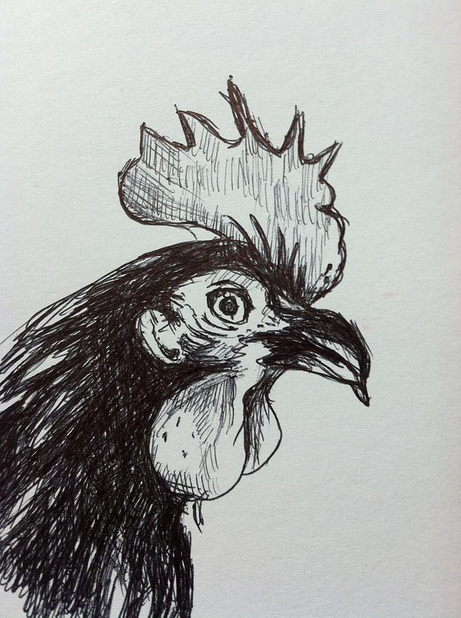 Rooster2 Drawing by Hae Kim