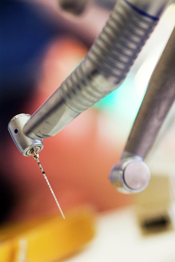 Root Canal Dentistry Drill Photograph by Chris Knapton/science Photo