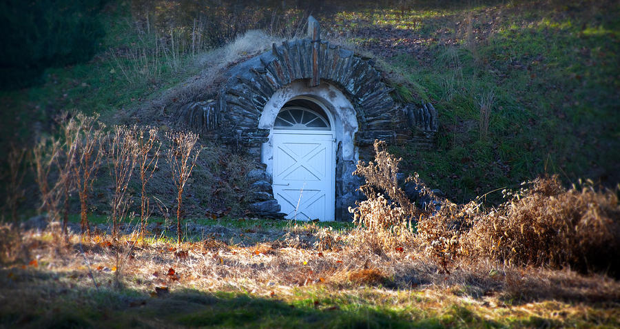 Root Photograph - Root Cellar at Valley Forge by Bill Cannon
