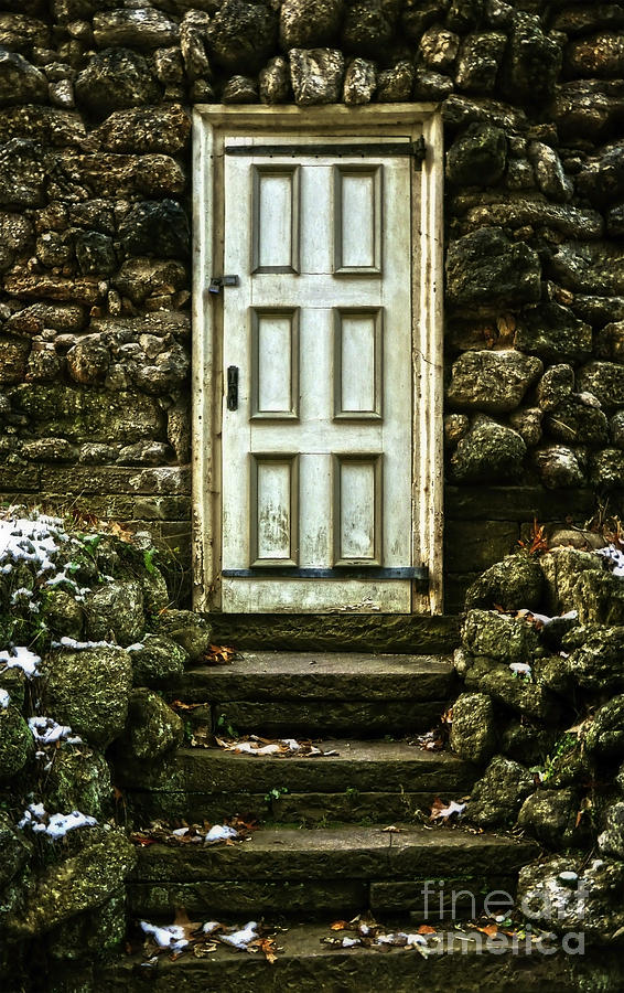 Root Cellar Door Photograph by Debra Fedchin