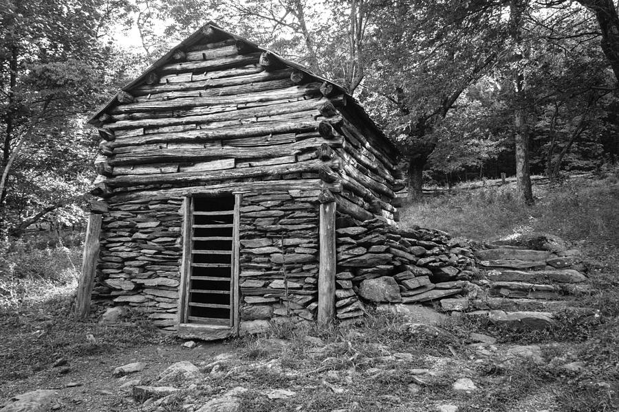 Root Cellar Photograph by Philip Wheeler - Fine Art America