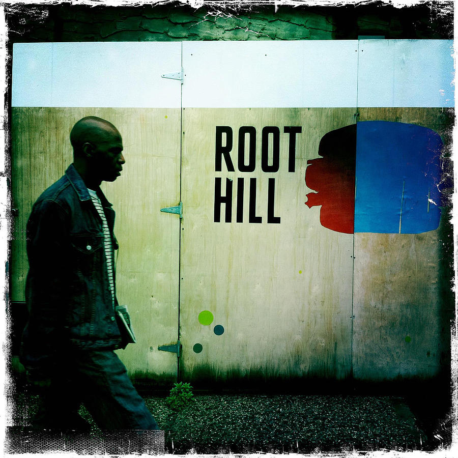 Root Hill Photograph by Frank Winters