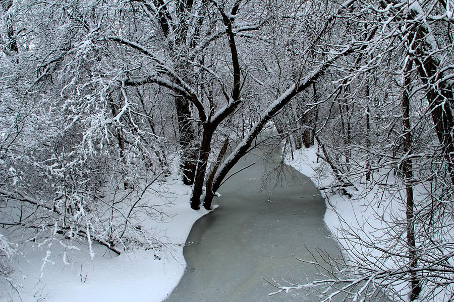 Root River Photograph by Debbie Nobile - Fine Art America