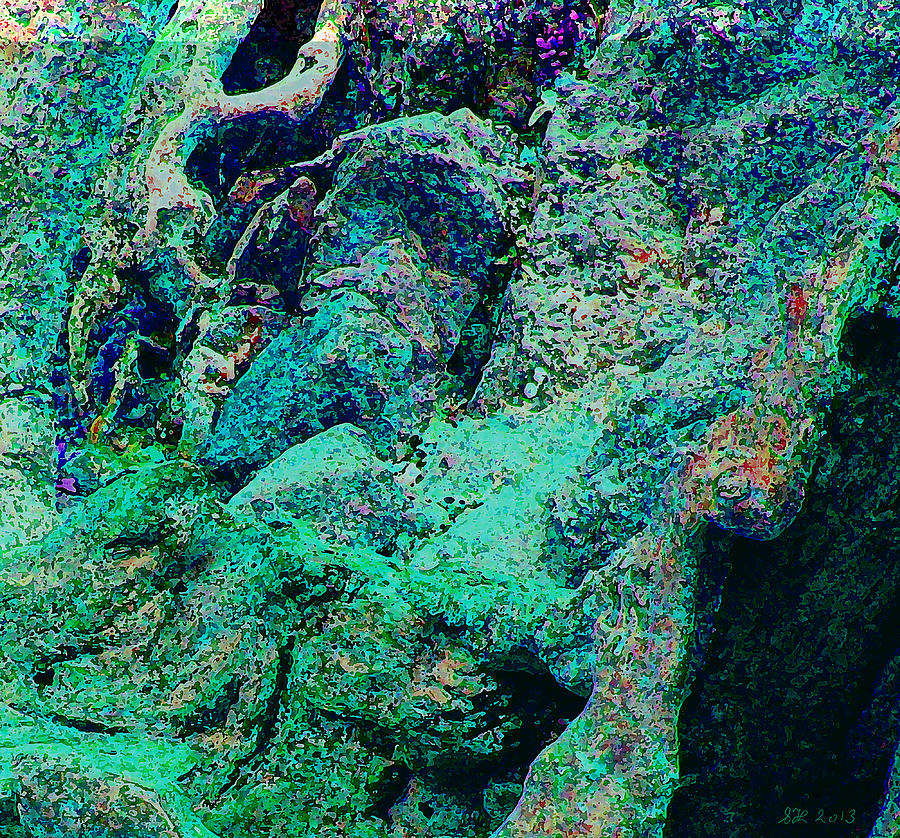 Abstract Digital Art - Roots and Rocks by Stephanie Grant