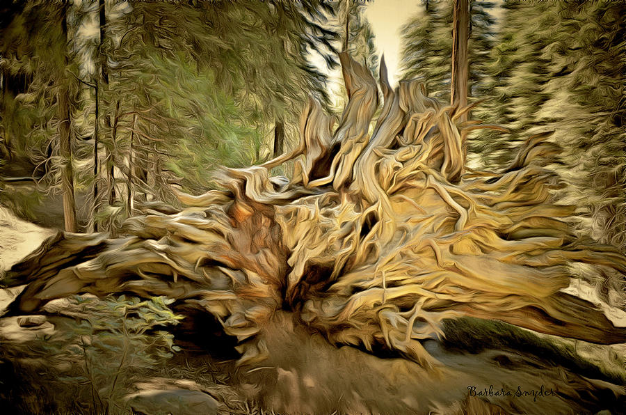 Roots Of A Fallen Giant Sequoia Painting by Barbara Snyder