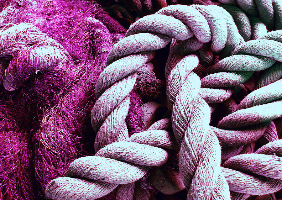 Rope and Net Purple Photograph by Laurie Tsemak