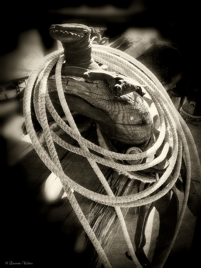 Rope and Saddle Photograph by Lucinda Walter
