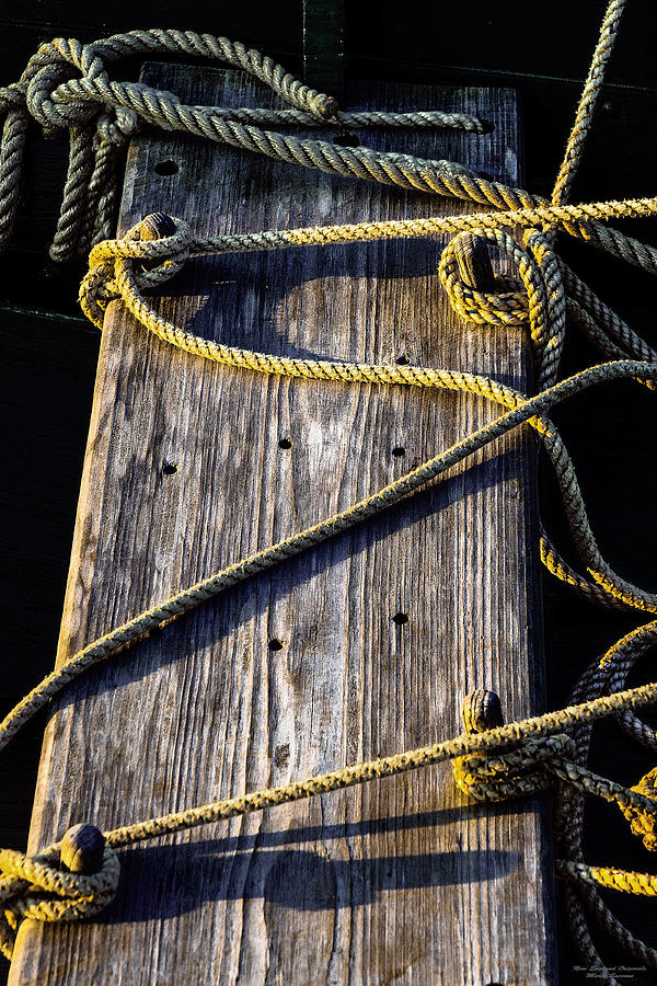 Rope Photograph - Rope and Wood Sidelight Textures by Marty Saccone