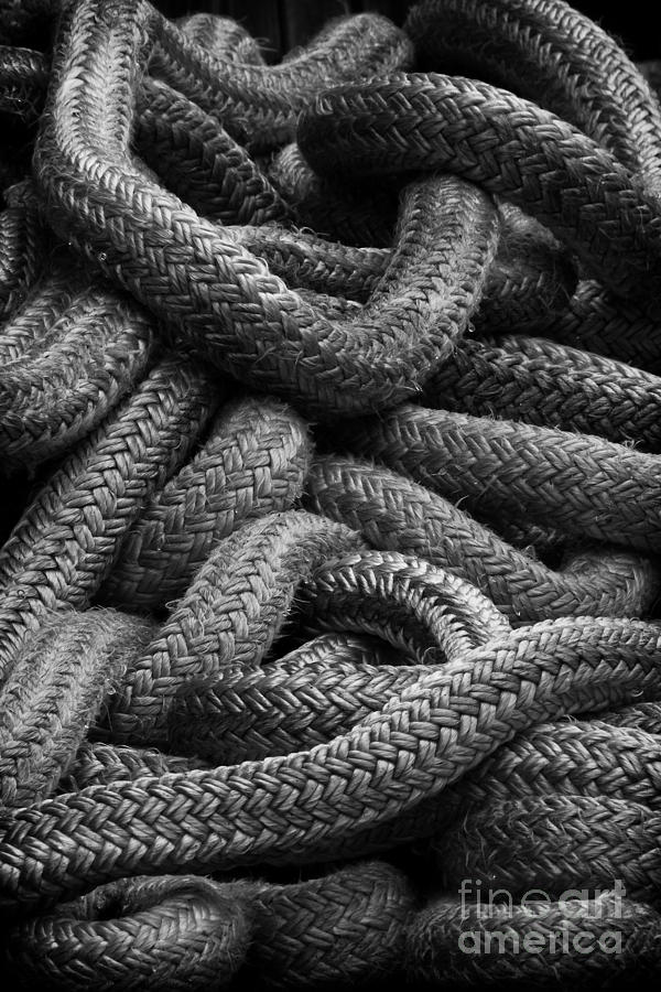 Rope Photograph by Carrie Cranwill
