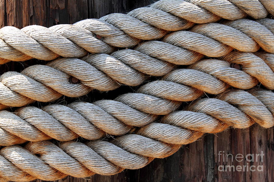 Rope Photograph by Henrik Lehnerer