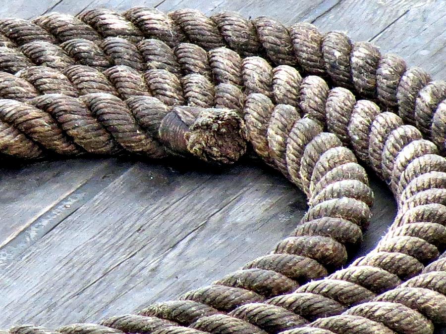 Rope Photograph by Janice Drew