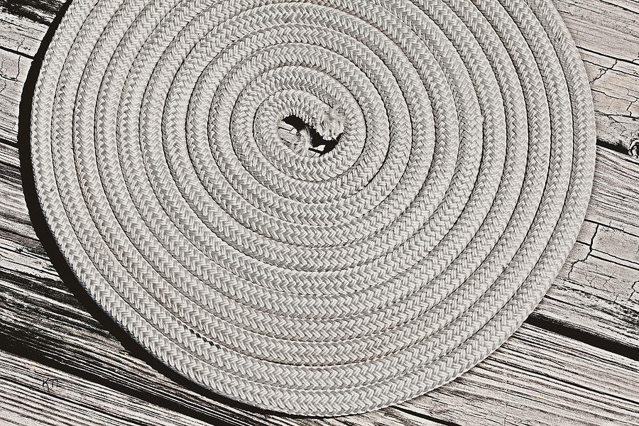 Rope Photograph by Karol Livote