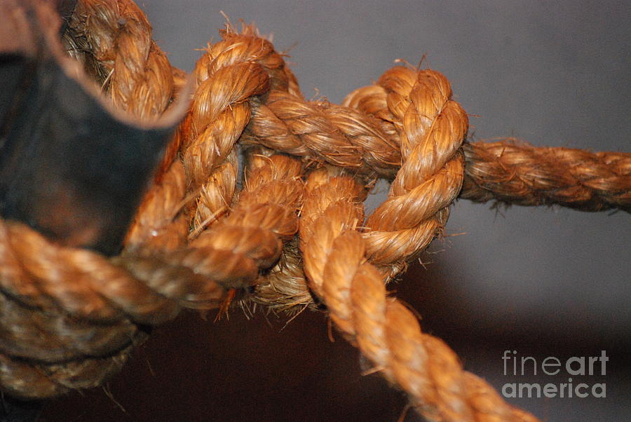 Rope Photograph - Rope Knot by Mark McReynolds