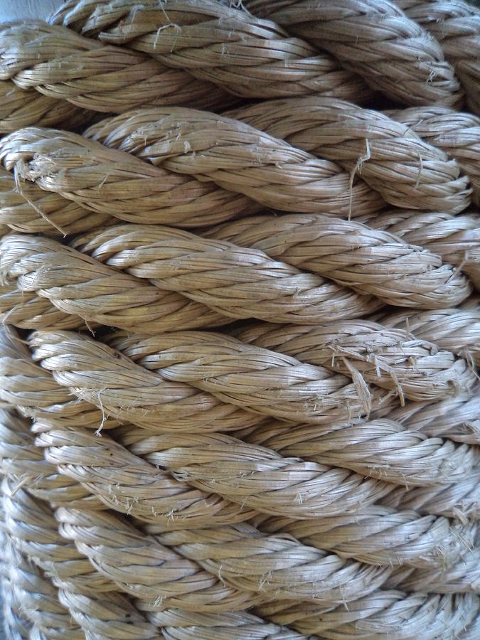 Rope Photograph by Krystyna Spink
