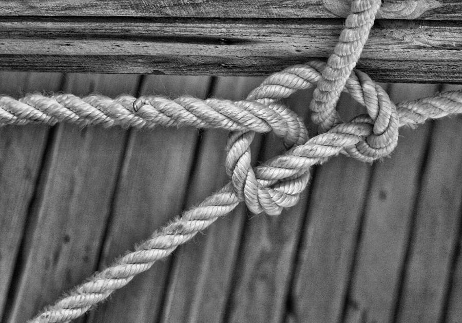 Rope Photograph by M Kathleen Warren