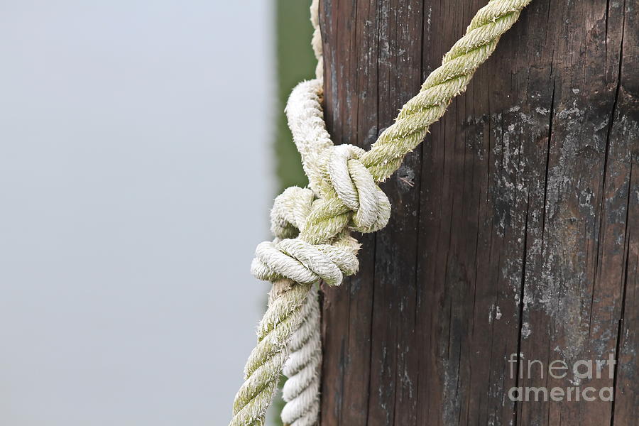 Boat Photograph - Rope on a Post by Cathy Lindsey