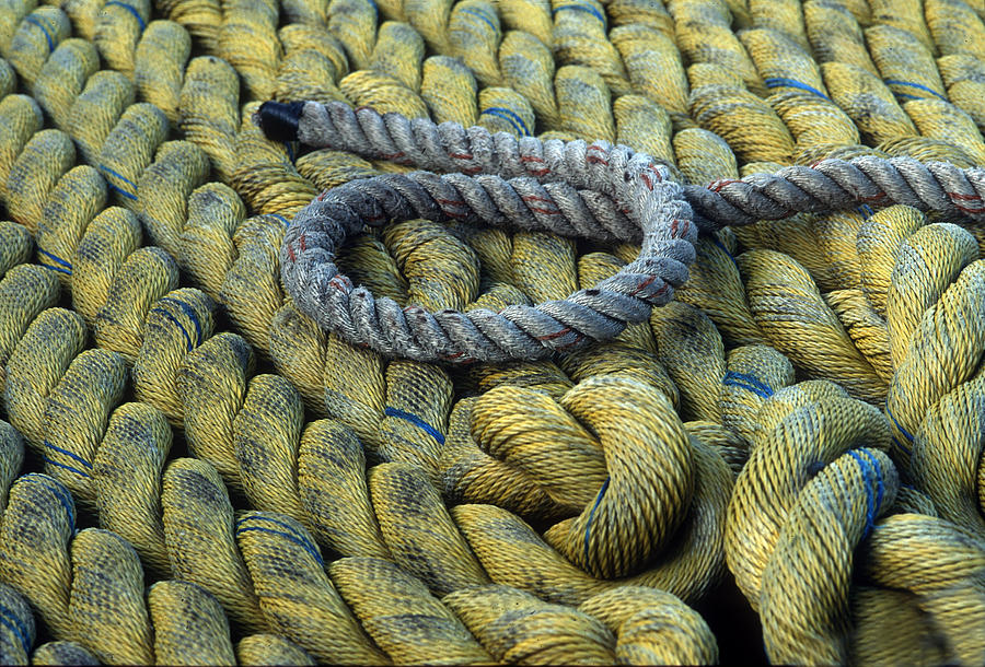 Marine Rope Photograph - Rope on Deck by Harold E McCray