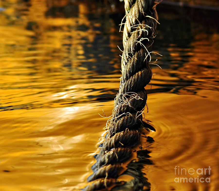 Abstract Photograph - Rope on Liquid Gold by Kaye Menner