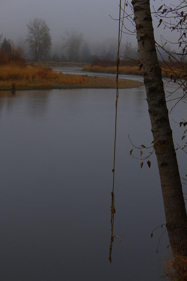 Fall Photograph - Rope Swing by Dorothy Hall