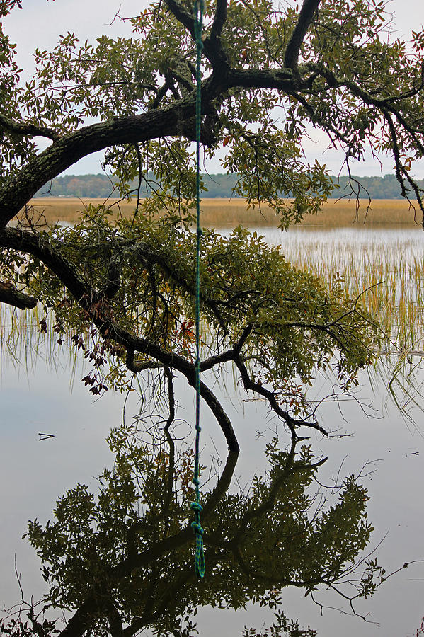 Rope Swing Over the Marsh Photograph by Suzanne Gaff