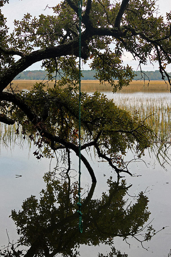 Rope Swing Over the Marsh - Watercolor Photograph by Suzanne Gaff
