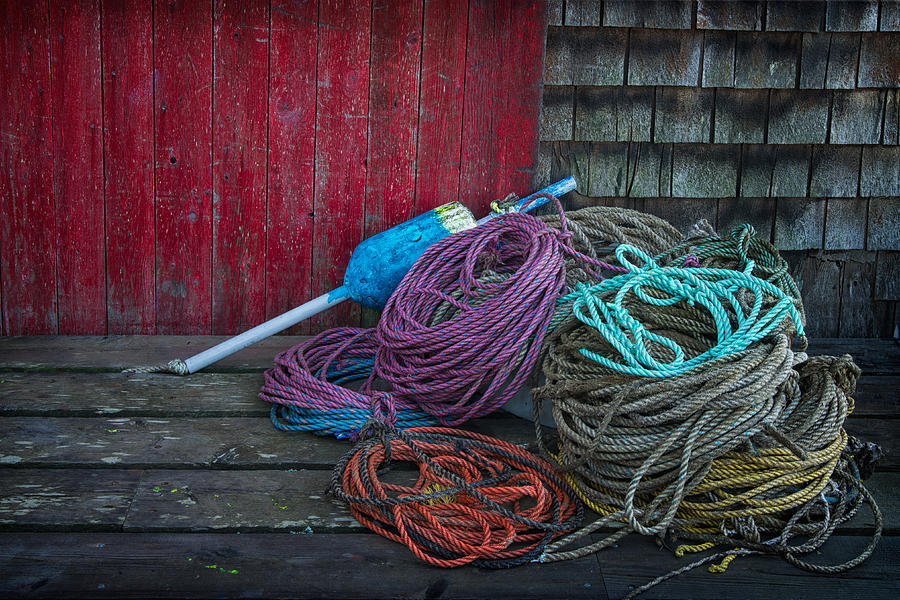 Ropes and Buoy Photograph by Darylann Leonard Photography