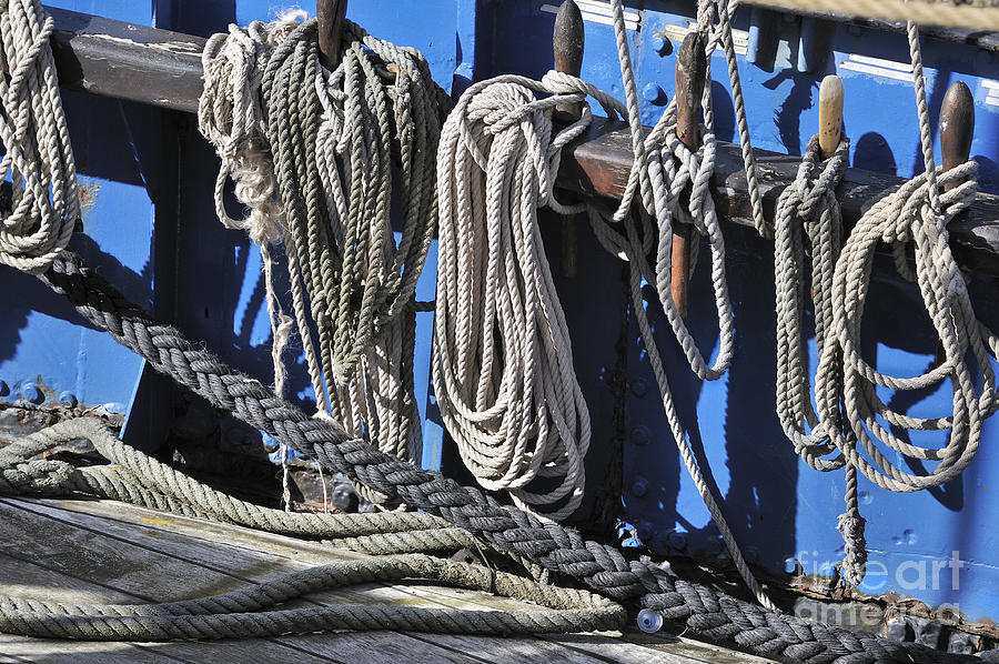 Ropes Photograph by Arterra Picture Library