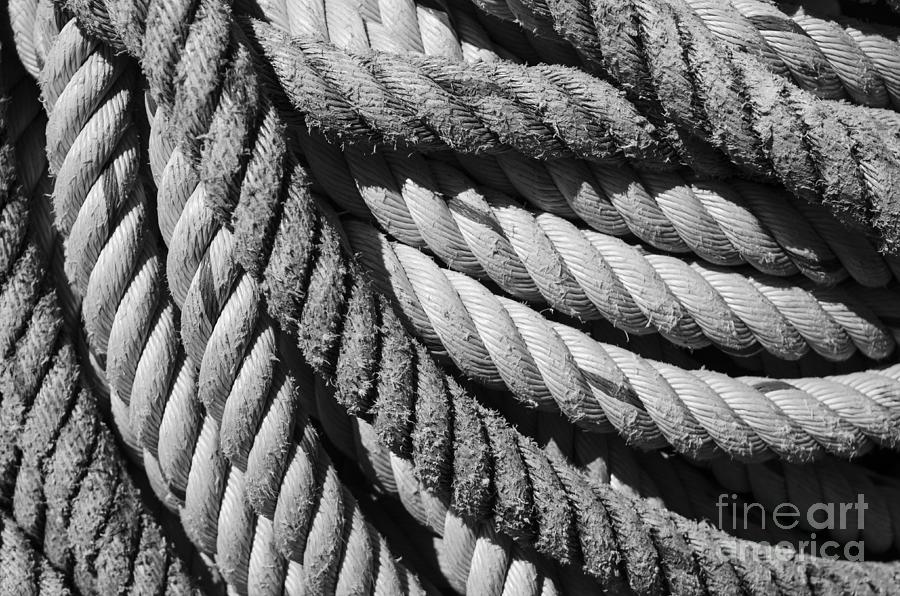 Ropes Photograph by Michelle Meenawong