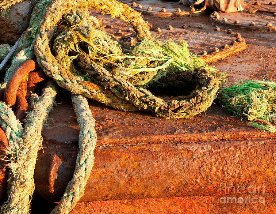 Ropes Photograph by Rick Piper Photography