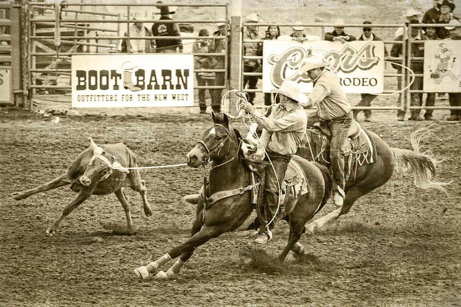 Roping Photograph by Caitlyn  Grasso