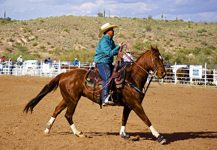Roping Competition Photograph by Barbara Zahno