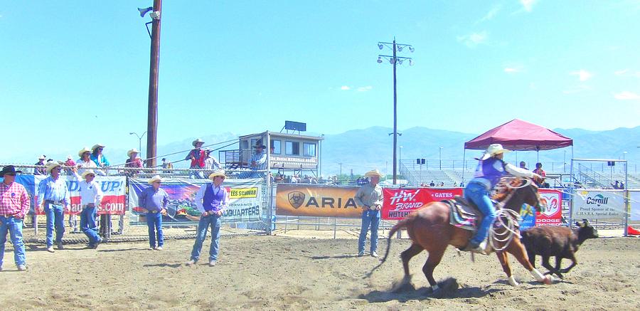 Roping Photograph by Marilyn Diaz