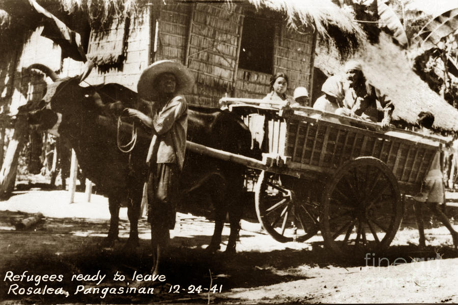 Rppc Photograph - Rosales Pangasinan Philippines Refugees Leaving in Ox Cart 12-24-1941 by Monterey County Historical Society