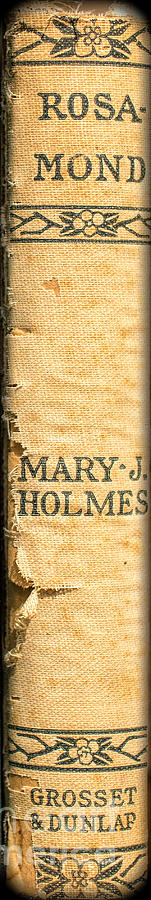 Rosamond by Mary J. Holmes Photograph by Edward Fielding