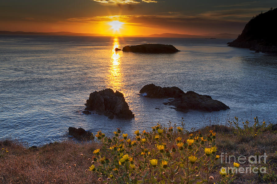 Flower Photograph - Rosario Head Sunset by Mark Kiver