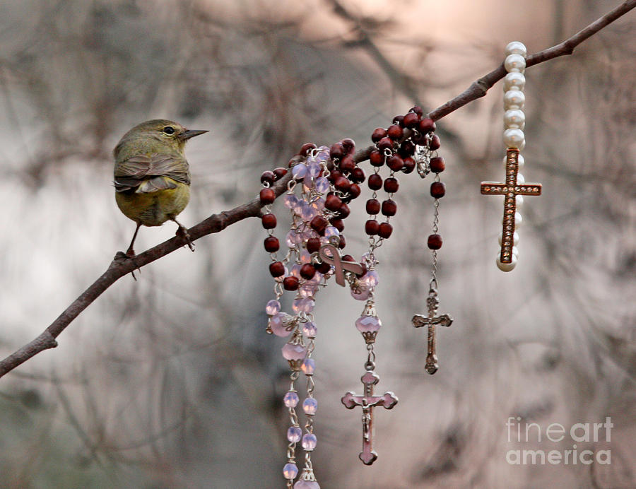 Rosary and Warbler Photograph by Luana K Perez