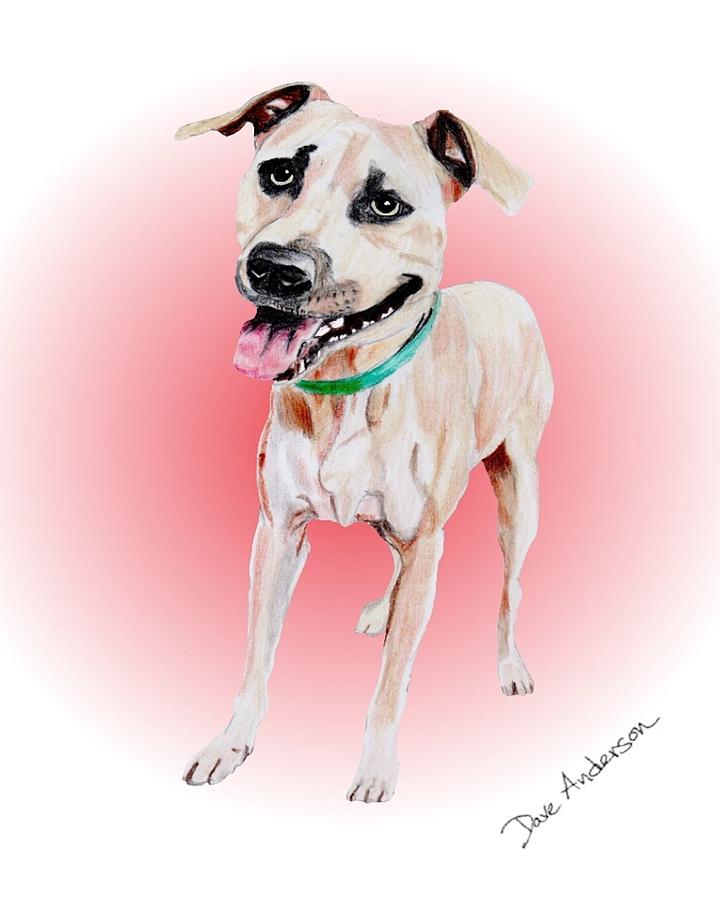 Nature Drawing - Roscoe - a former shelter sweetie by Dave Anderson
